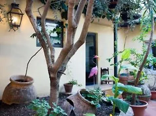 Casa Pucci 3* Флоренция